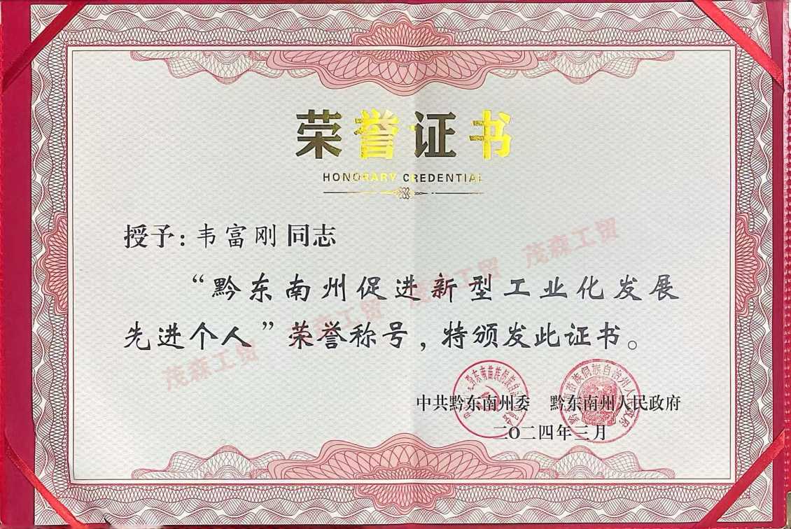 先进个人
