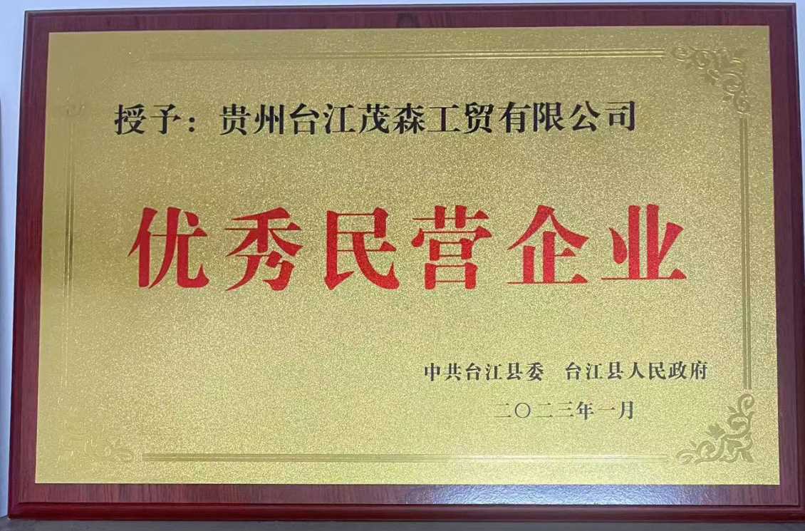 优秀民营企业